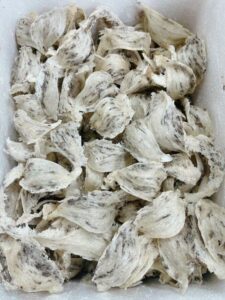 Tổ yến chưng nhân sâm – Bí quyết bồi bổ sức khỏe
