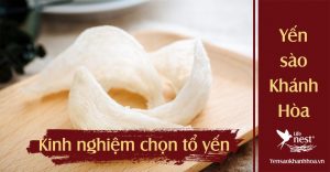 Cách chọn yến thô ngon – Mẹo nhận biết yến chất lượng