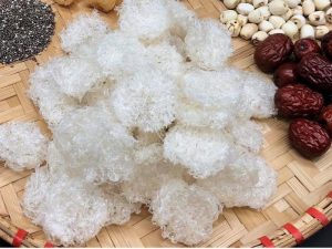 Yến vụn là gì? Có nên mua yến vụn không?