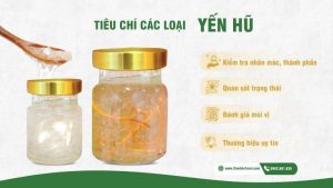 Yến hủ có tốt không? Cách bảo quản và sử dụng đúng cách